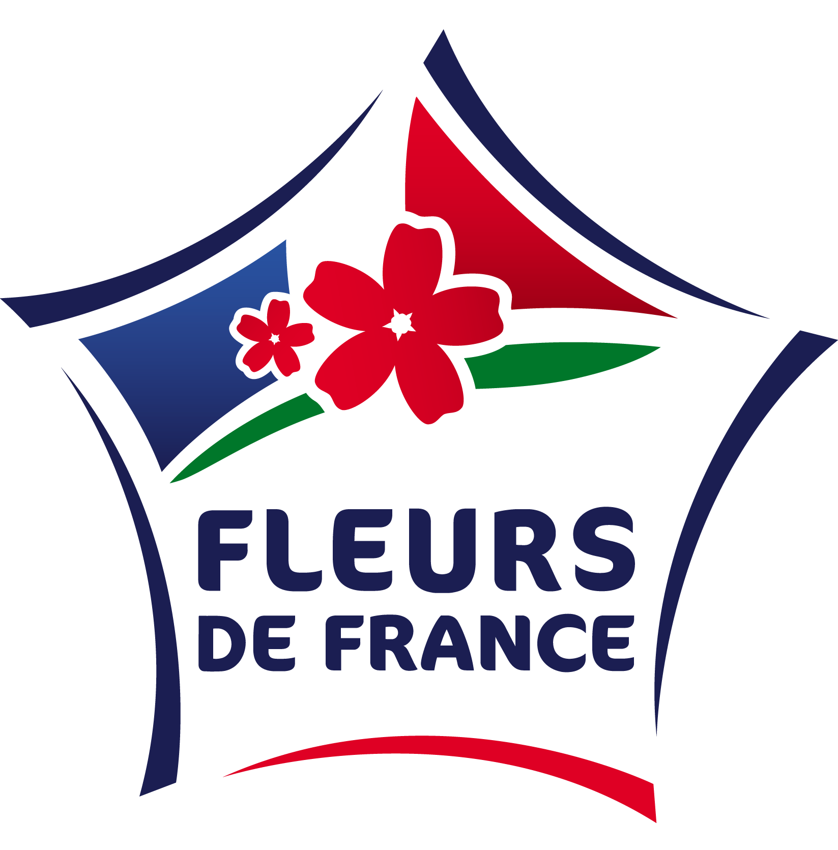 Fleur de France