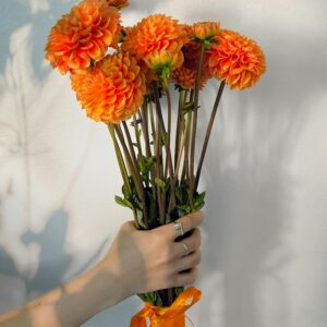 Bouquet Eva