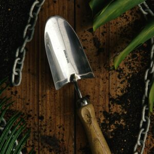 Transplantoir