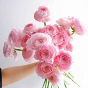 Bouquet Victoria