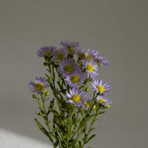 Bouquet Aïsha