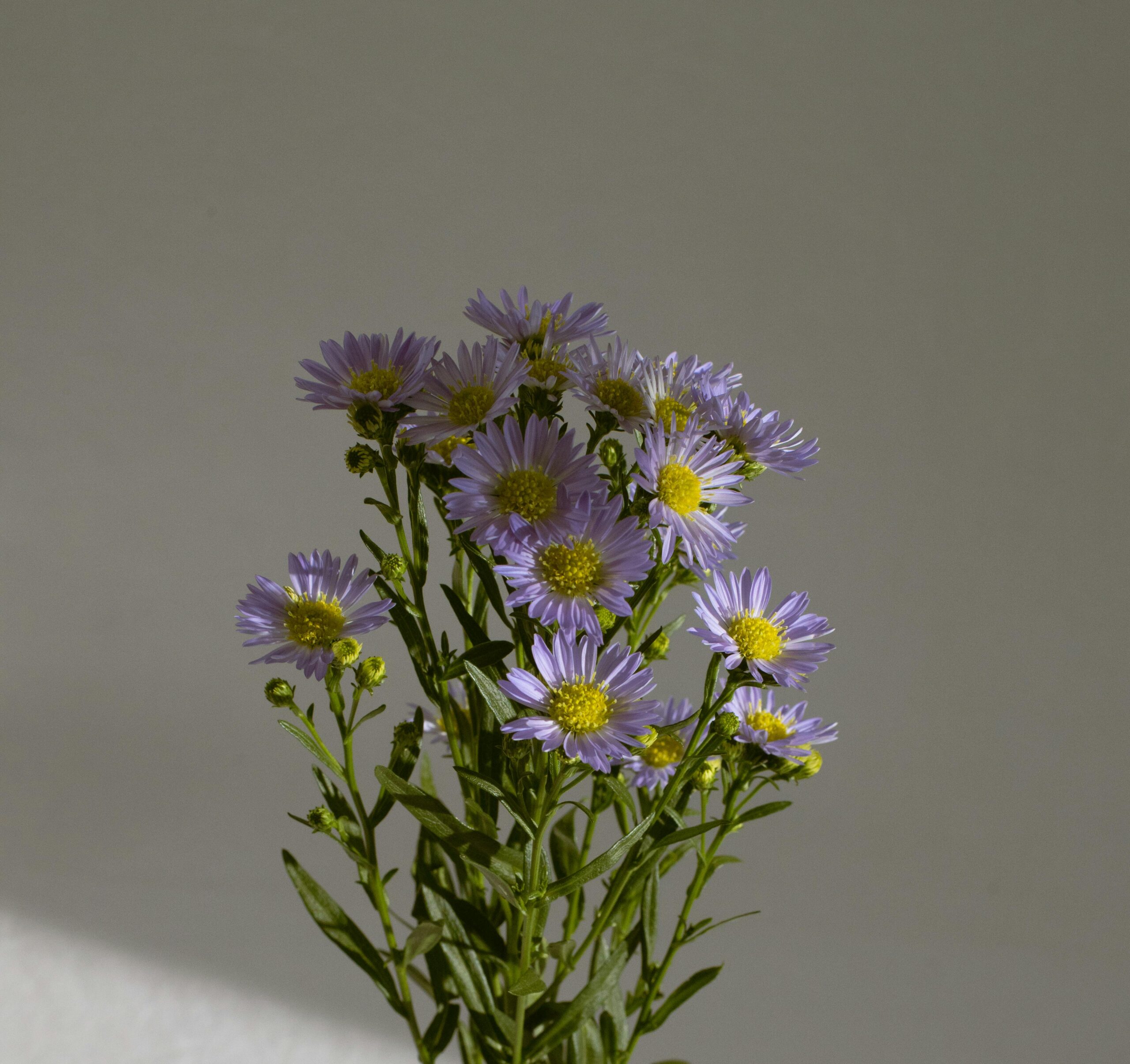 Bouquet Aïsha