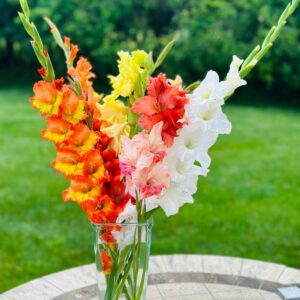 Bouquet Théa