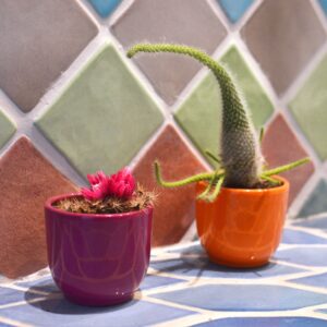Duo de Mini Pots Émaillés Pop